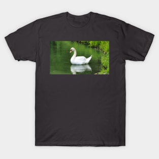 Mute Swan Swimming In A Pond T-Shirt